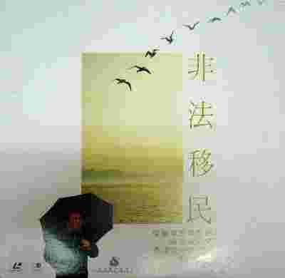BD50-2D 非法移民 (1985) 港产片 豆瓣7.2 