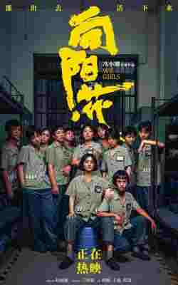 向阳·花/出狱女子的故事‎ (2025) 高清版 豆瓣6.4 